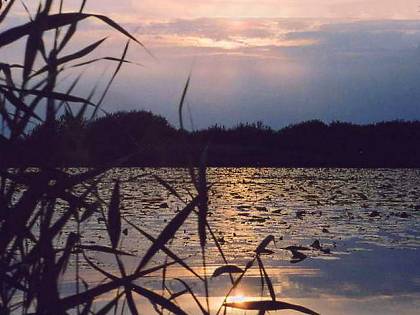 Worpswede - Sonnenuntergang an der Hamme